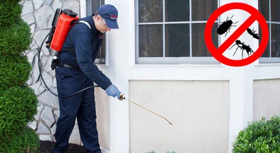 Yayladağı Akrep İlaçlama böcek ilaçlama ve haşere kontrolü — ilaclama-tr.com
